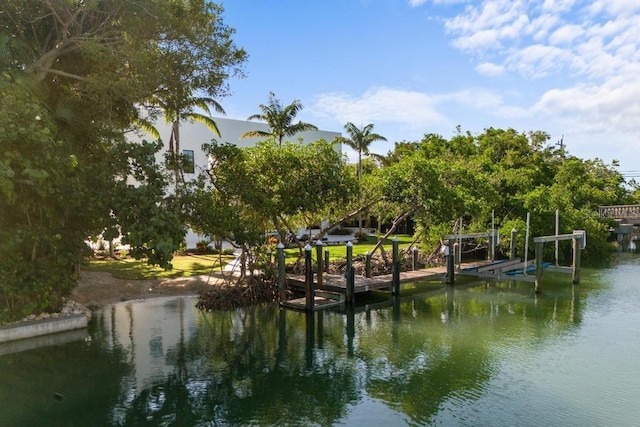 dock area featuring a water view