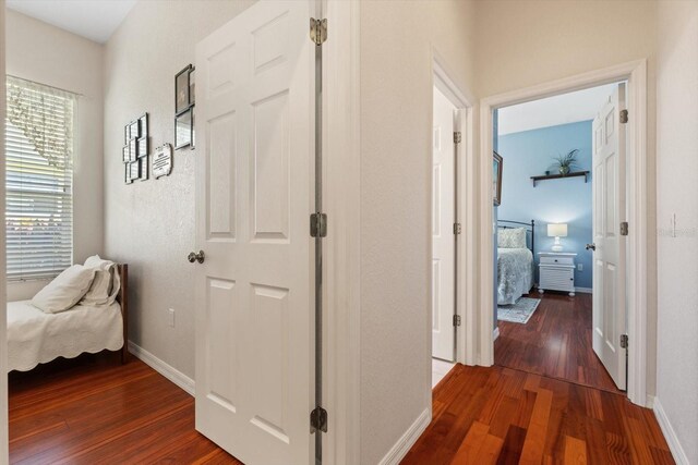 hallway featuring dark wood-type flooring