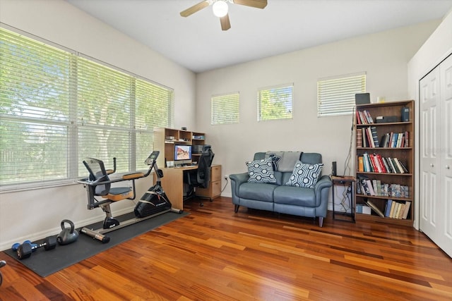 exercise room with ceiling fan and wood-type flooring