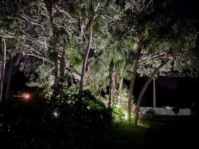 view of nature at night