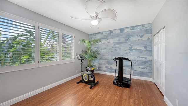 workout area featuring ceiling fan and hardwood / wood-style flooring