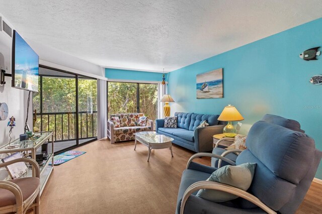 living room featuring hardwood / wood-style floors and a textured ceiling