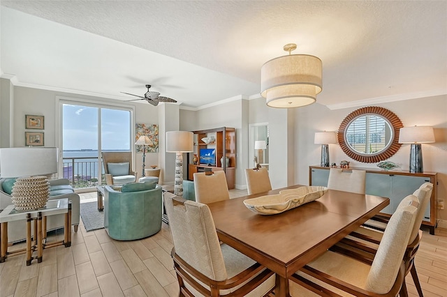 dining room featuring a wealth of natural light, ornamental molding, ceiling fan, and light wood-type flooring