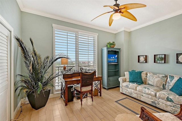 office featuring crown molding, ceiling fan, and light wood-type flooring