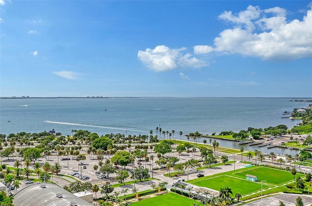 aerial view with a water view