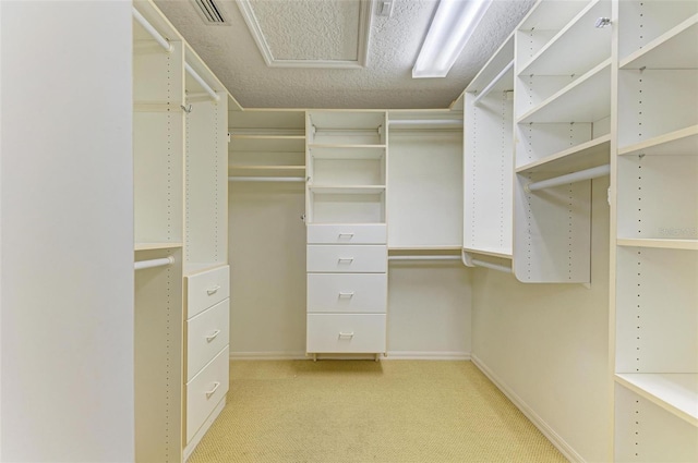 spacious closet with light carpet