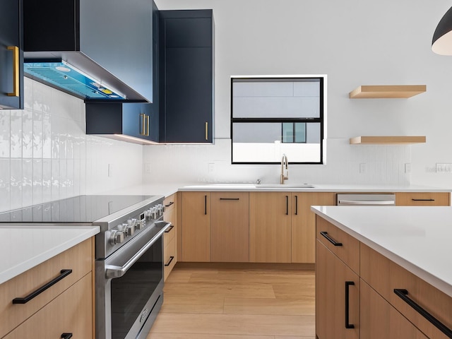 kitchen with sink, tasteful backsplash, light hardwood / wood-style flooring, appliances with stainless steel finishes, and range hood