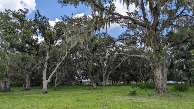12980AND12990 River Rd, Myakka City, FL 34251
