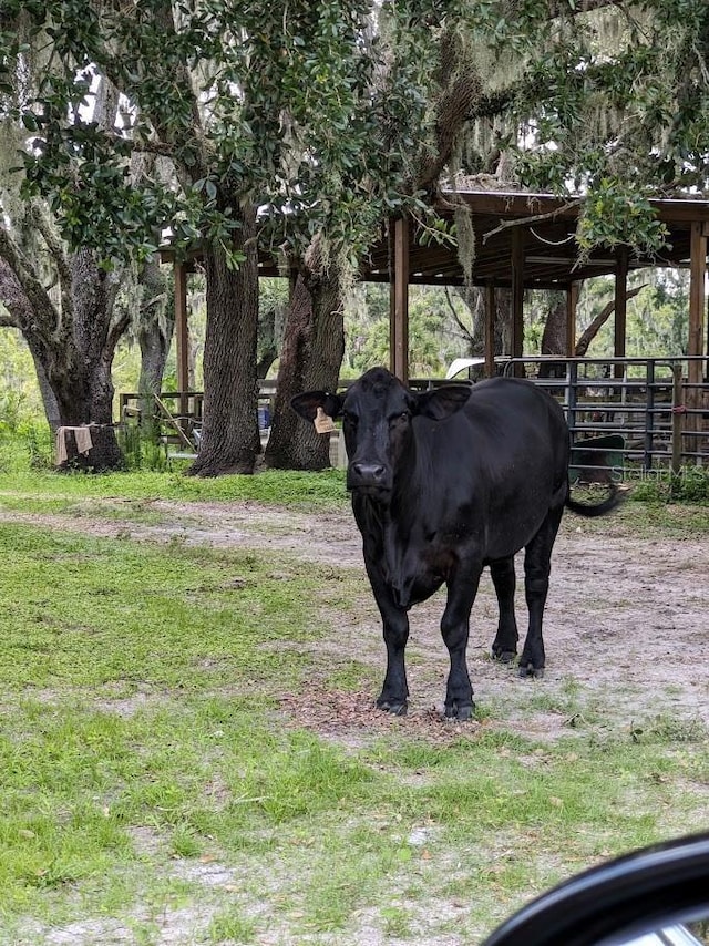 12980AND12990 River Rd, Myakka City, FL 34251