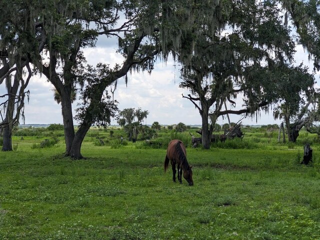 12980AND12990 River Rd, Myakka City, FL 34251