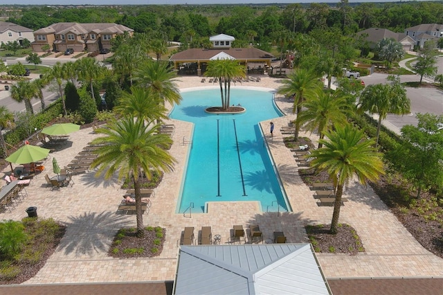 view of swimming pool featuring a patio