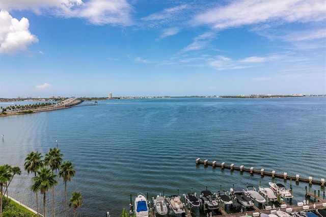 water view with a dock