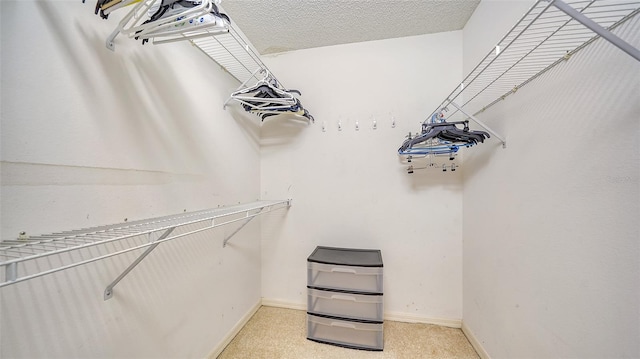 walk in closet featuring light colored carpet