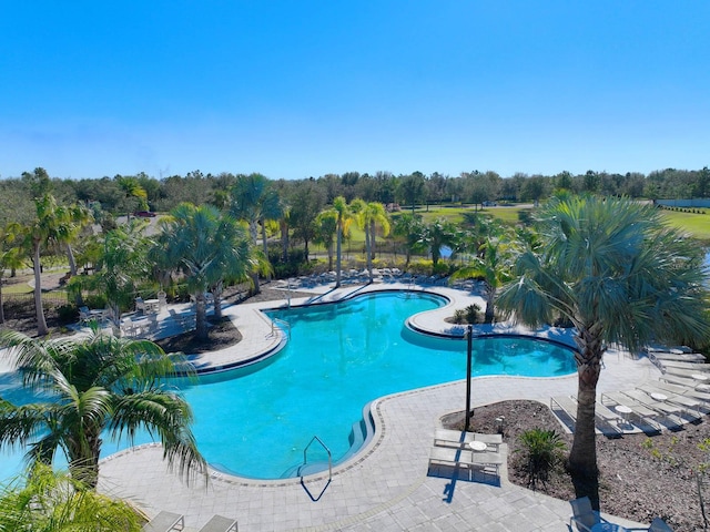 view of swimming pool featuring a patio area