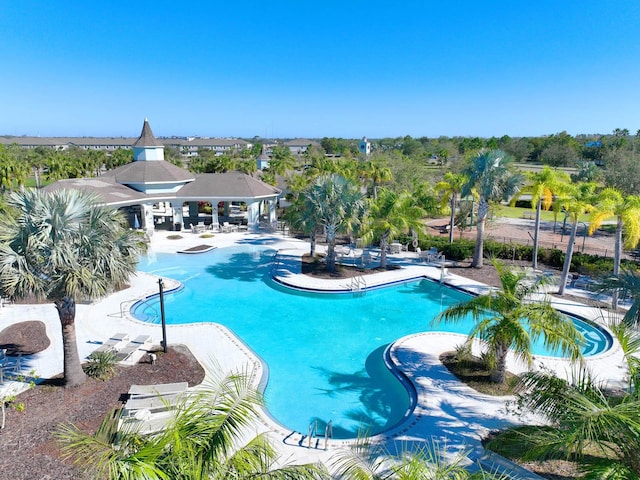 view of pool featuring a patio area