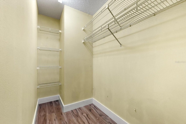 walk in closet with wood-type flooring