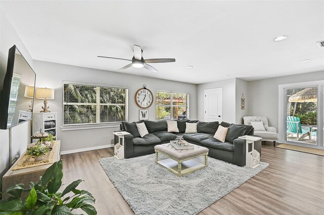 living room featuring ceiling fan and wood-type flooring