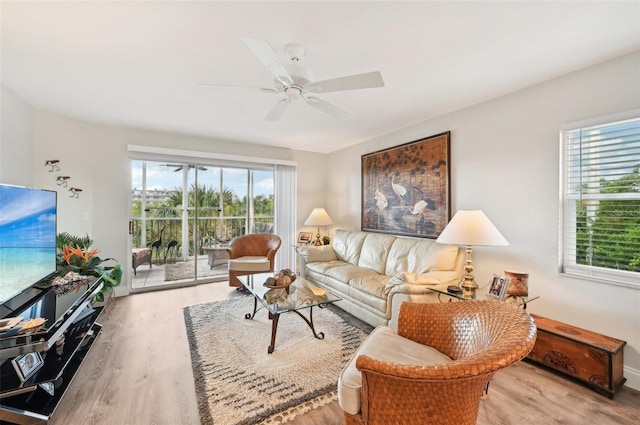 living room with ceiling fan, a healthy amount of sunlight, and light wood-type flooring