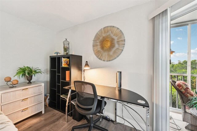 office area featuring hardwood / wood-style floors and a healthy amount of sunlight