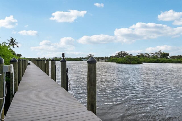 dock area with a water view