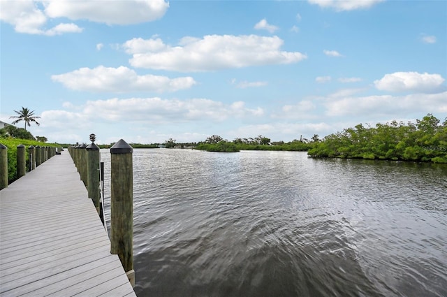 dock area with a water view