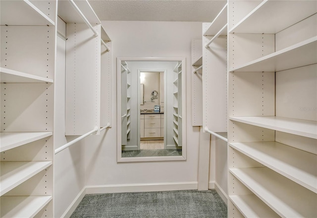 spacious closet featuring carpet floors