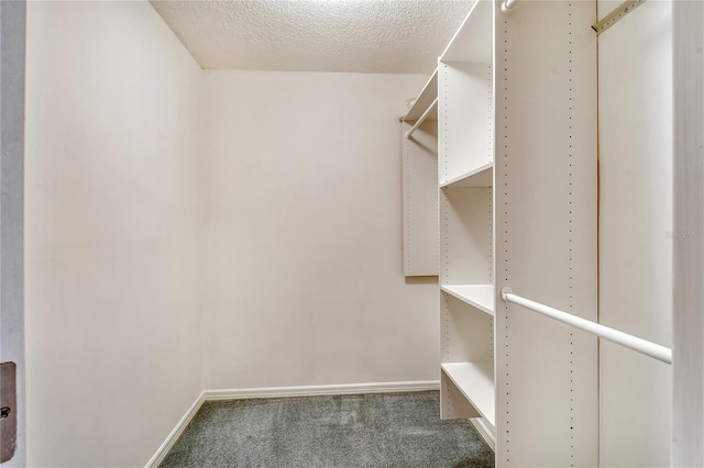 spacious closet featuring dark colored carpet