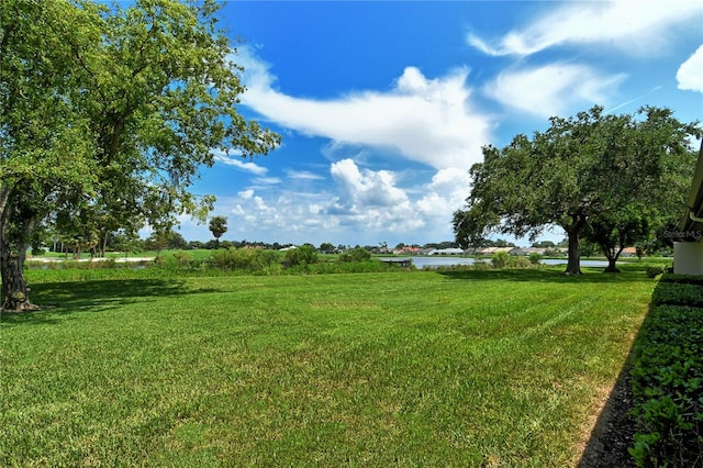 view of yard with a water view