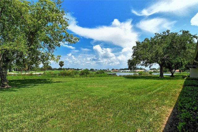 view of yard featuring a water view