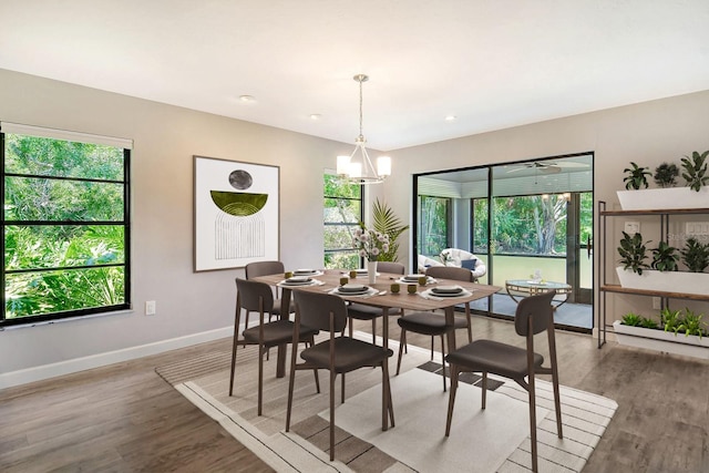 dining space featuring ceiling fan with notable chandelier and light wood-type flooring