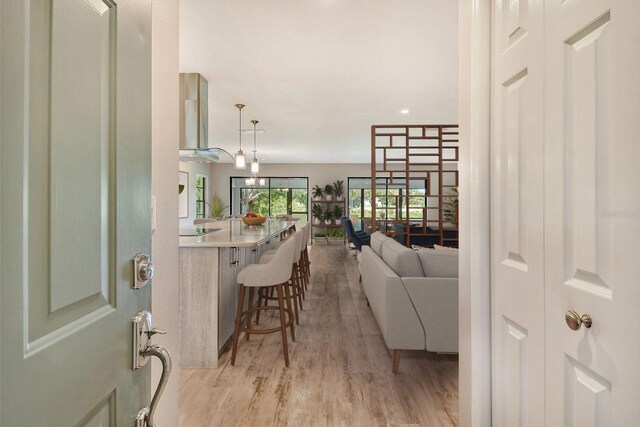 living room with light hardwood / wood-style flooring