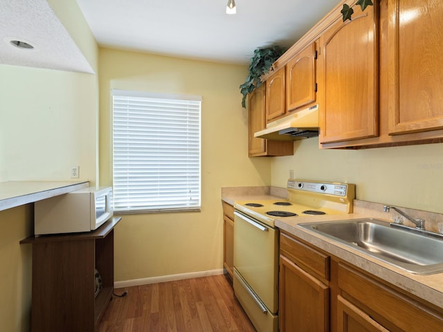 kitchen with sink, light hardwood / wood-style flooring, and white appliances