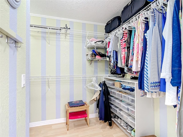 spacious closet featuring light hardwood / wood-style flooring