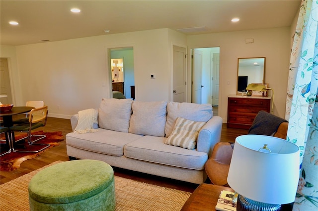 living room featuring wood-type flooring