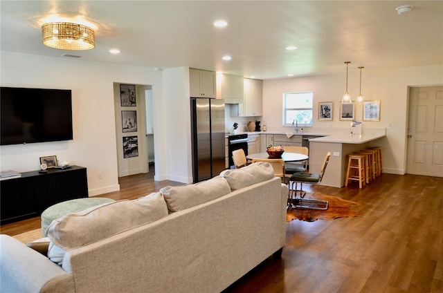 living room featuring wood-type flooring and sink