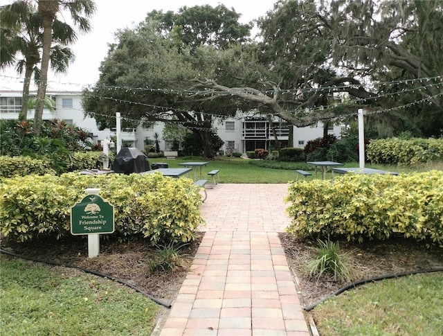 view of community with a patio and a lawn