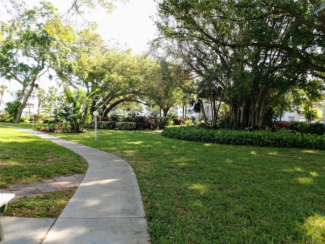 view of community featuring a lawn