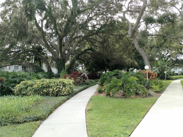 view of community with a yard