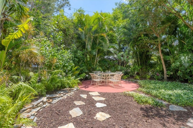 839 40th St, Sarasota, FL 34234 - view of yard with a patio