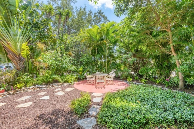 view of yard featuring a patio area