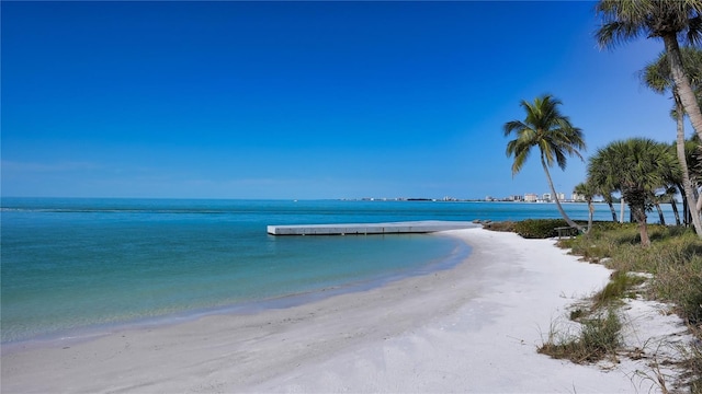 water view featuring a beach view