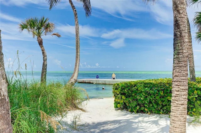 water view with a beach view