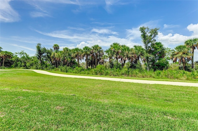 view of home's community with a yard