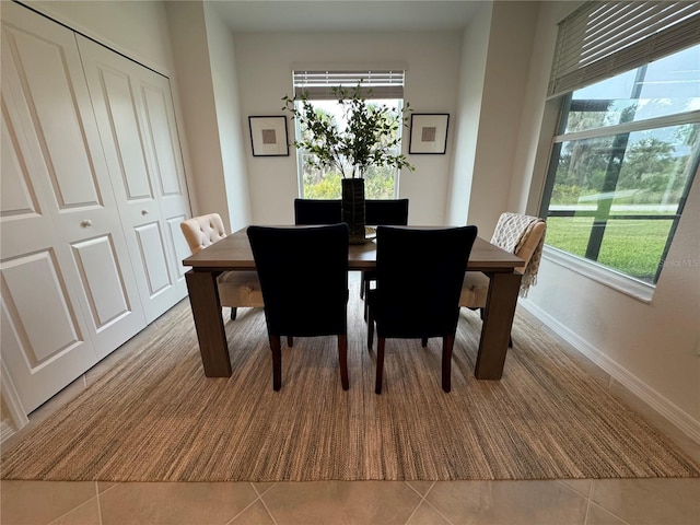 17445 Opal Sand Dr Unit 104, Venice, FL 34293 - dining area featuring tile patterned floors, healthy amount of natural light, and baseboards