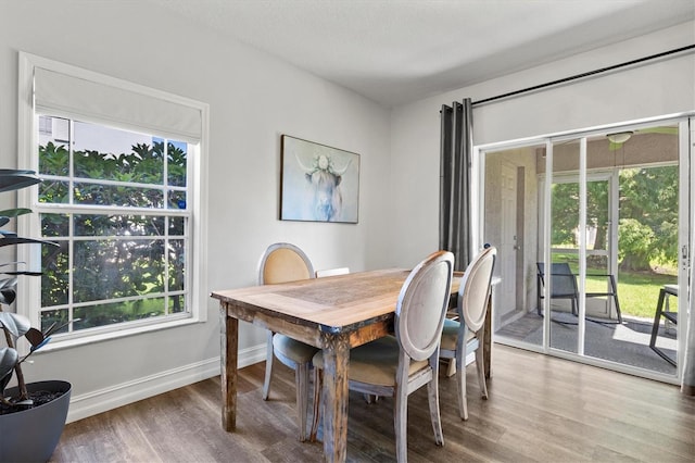 dining room featuring hardwood / wood-style flooring and a healthy amount of sunlight