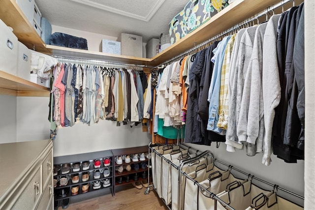 spacious closet featuring hardwood / wood-style floors