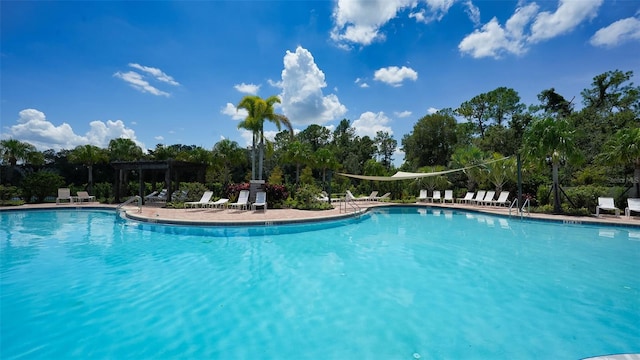 view of swimming pool with a patio area