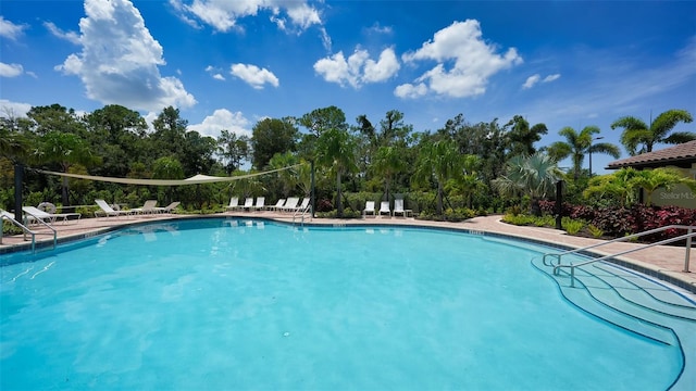 view of swimming pool