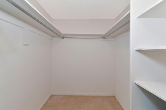 spacious closet with light carpet