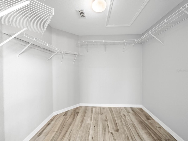 spacious closet featuring wood-type flooring